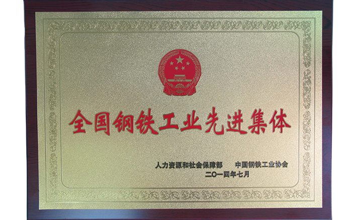 全國鋼鐵工業(yè)先進集體.png